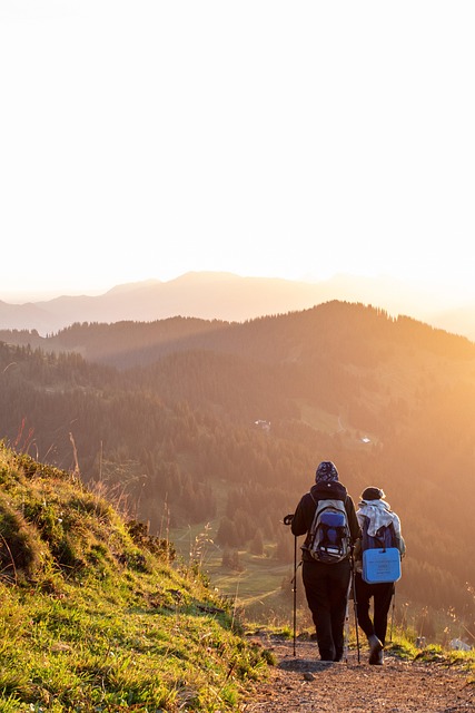 People hiking on a mountain trail, representing epic hikes and treks with Wander Vista.
